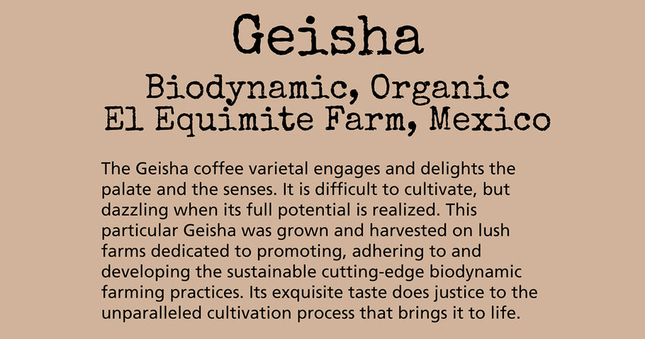 Geisha Coffee: The Varietal that Rocked the Coffee (and Aharon Vaknin’s) World