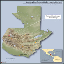 Load image into Gallery viewer, Guatemala USDA Organic Aharon Coffee