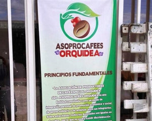 Colombia Blue USDA Organic Aharon Coffee