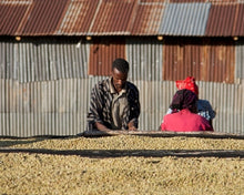 Load image into Gallery viewer, Ethiopia Yirgacheffe USDA Organic Aharon Coffee