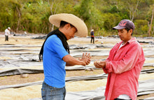 Load image into Gallery viewer, Finca Humana (the Human Farm) Café Organico Marcala, S.A. (COMSA) cooperative in Marcala, Honduras
