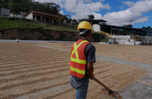 Load image into Gallery viewer, Finca Humana (the Human Farm) Café Organico Marcala, S.A. (COMSA) cooperative in Marcala, Honduras
