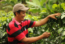 Load image into Gallery viewer, Finca Humana (the Human Farm) Café Organico Marcala, S.A. (COMSA) cooperative in Marcala, Honduras
