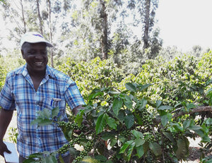 Kenya USDA Organic Aharon Coffee