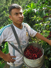 Load image into Gallery viewer, Peru Biodynamic USDA Organic Aharon Coffee
