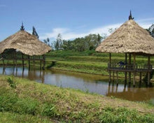 Load image into Gallery viewer, Bali Indonesia USDA Organic Aharon Coffee
