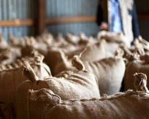 Ethiopia Dry USDA Organic Aharon Coffee