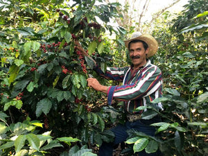 Guatemala USDA Organic Aharon Coffee