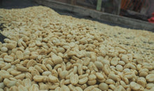 Load image into Gallery viewer, Kenya USDA Organic Aharon Coffee
