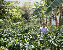 Load image into Gallery viewer, Peru Biodynamic USDA Organic Aharon Coffee
