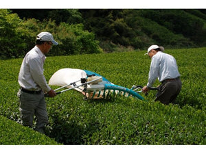 Sencha Green Tea (spring picking)